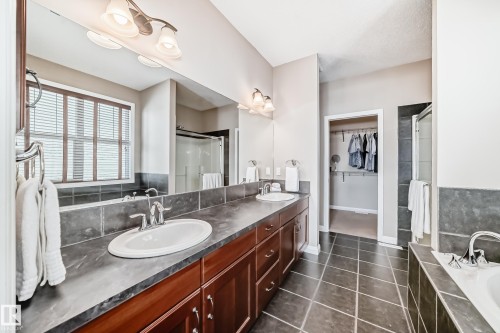 2326 Frezenberg Avenue, Edmonton, AB - Indoor Photo Showing Bathroom