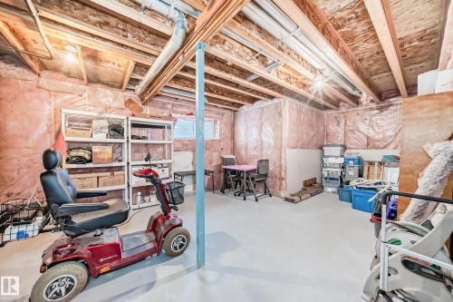 2326 Frezenberg Avenue, Edmonton, AB - Indoor Photo Showing Basement