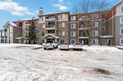 319 17415 99 Avenue  Edmonton, AB T5T 0W8