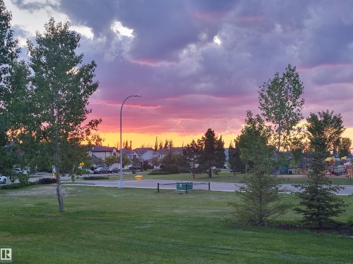 Expansive green space with mature trees, a paved road, and distant residential properties, all set against a vibrant sunset sky - 32 2121 Haddow Drive, Edmonton, AB - Outdoor With View
