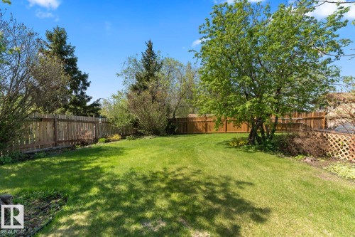 Expansive backyard featuring a manicured lawn, established perimeter fencing, mature trees, and a decorative lattice section - 4003 50A Avenue, Cold Lake, AB - Outdoor With Backyard