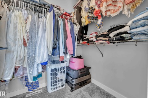 The closet features ample hanging space and shelving, along with grey carpeted flooring and light grey walls - 6406 169 Avenue, Edmonton, AB - Indoor With Storage