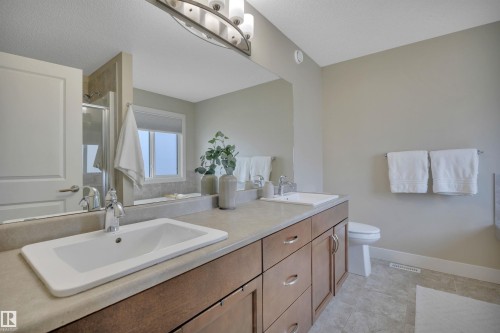 8945 24 Avenue, Edmonton, AB - Indoor Photo Showing Bathroom