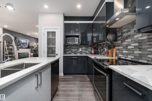 9338 Pear Link, Edmonton, AB - Indoor Photo Showing Kitchen With Double Sink With Upgraded Kitchen