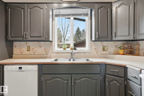 12340 St Albert Trail, Edmonton, AB - Indoor Photo Showing Kitchen With Double Sink