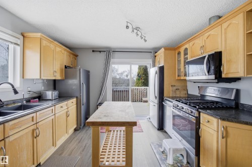 3940 33 Street, Edmonton, AB - Indoor Photo Showing Kitchen With Double Sink