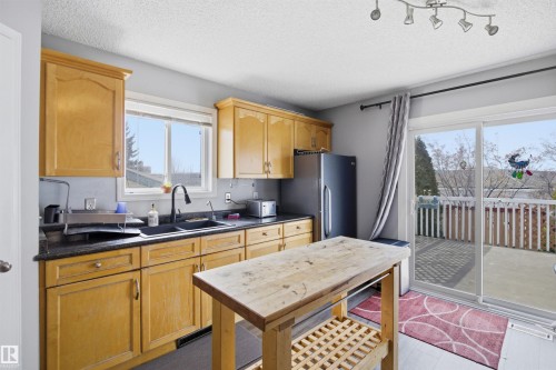 3940 33 Street, Edmonton, AB - Indoor Photo Showing Kitchen With Double Sink