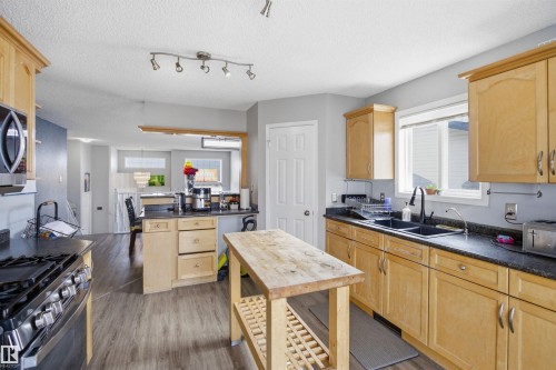 3940 33 Street, Edmonton, AB - Indoor Photo Showing Kitchen With Double Sink
