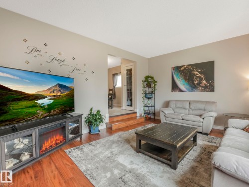 9945 163 Street Nw, Edmonton, AB - Indoor Photo Showing Living Room