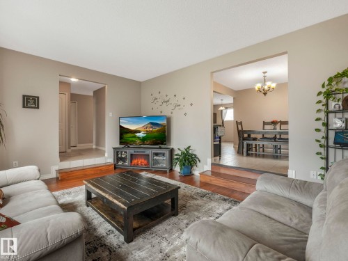 9945 163 Street Nw, Edmonton, AB - Indoor Photo Showing Living Room