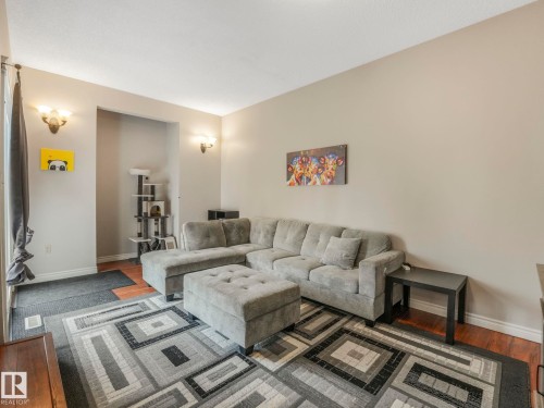 9945 163 Street Nw, Edmonton, AB - Indoor Photo Showing Living Room
