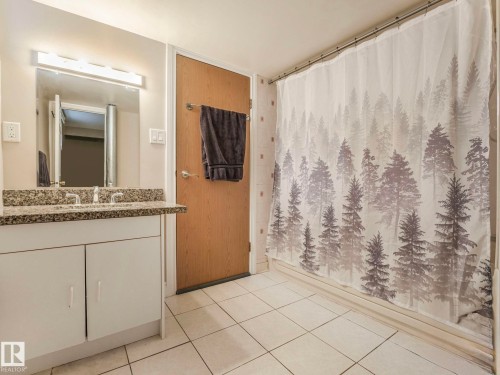 9945 163 Street Nw, Edmonton, AB - Indoor Photo Showing Bathroom