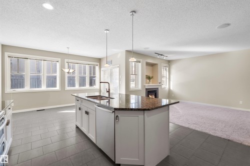 805 Armitage Wynd, Edmonton, AB - Indoor Photo Showing Kitchen With Double Sink With Upgraded Kitchen
