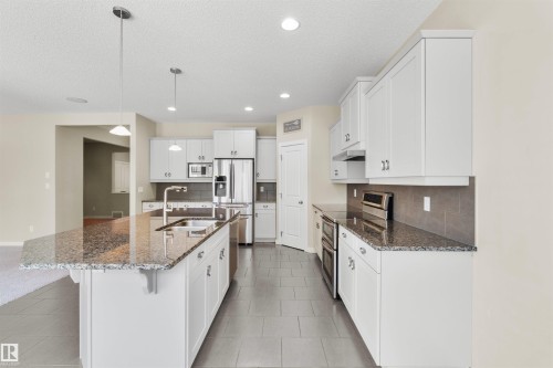 805 Armitage Wynd, Edmonton, AB - Indoor Photo Showing Kitchen With Double Sink With Upgraded Kitchen