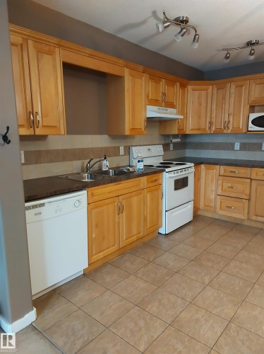 203 11827 105 Street, Edmonton, AB - Indoor Photo Showing Kitchen With Double Sink
