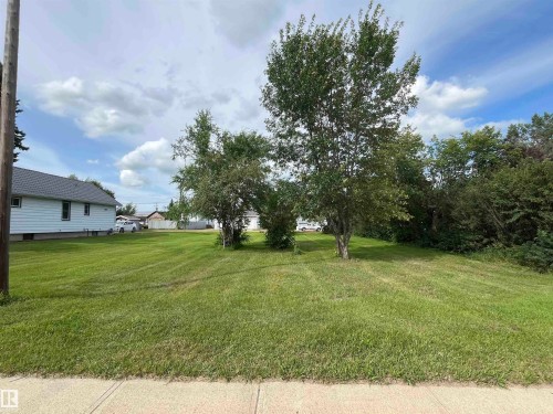Expansive grass lot featuring several mature trees and a clear curb line - 4916 51 Avenue, Viking, AB 