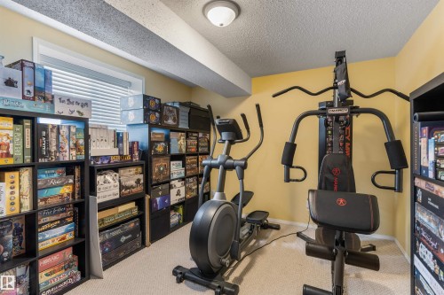 21 Dubonnet Way, St. Albert, AB - Indoor Photo Showing Gym Room
