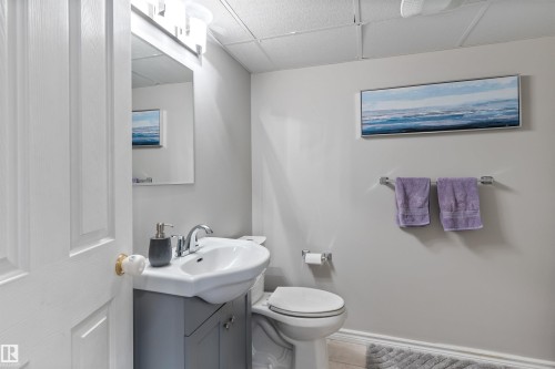 21 Dubonnet Way, St. Albert, AB - Indoor Photo Showing Bathroom
