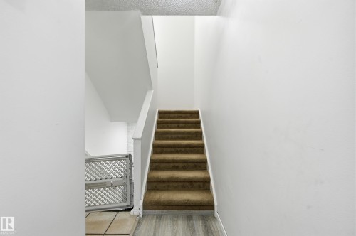 Staircase featuring brown carpeting, white railings, and light-colored walls - 9031 133 Avenue, Edmonton, AB - Indoor Photo Showing Other Room