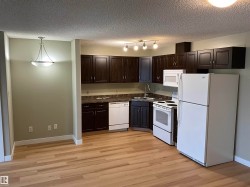 Kitchen featuring wood-finish flooring, dark wood cabinetry, dark countertops, and a full suite of white appliances - 