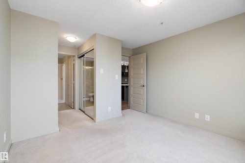 The property features carpeted flooring, neutral wall paint, and overhead lighting - 309 4008 Savaryn Drive, Edmonton, AB - Indoor Photo Showing Other Room