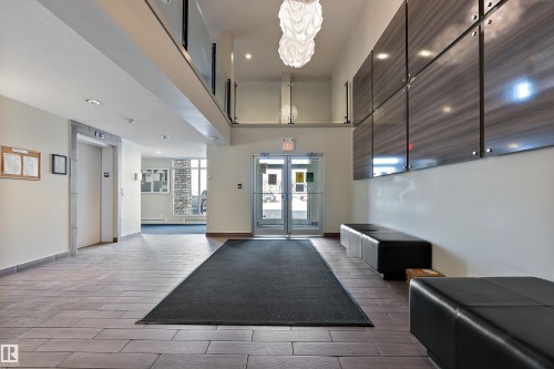 Inviting entryway featuring tile flooring, a large area rug, and a modern light fixture - 309 4008 Savaryn Drive, Edmonton, AB - Indoor Photo Showing Other Room