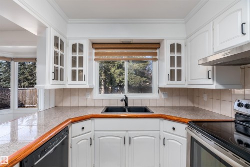 123 Westridge Road, Edmonton, AB - Indoor Photo Showing Kitchen With Double Sink