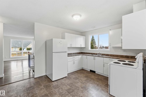 4636 37A Avenue, Edmonton, AB - Indoor Photo Showing Kitchen With Double Sink
