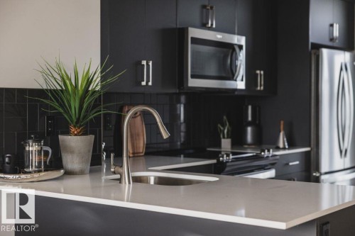 2624 Alces Way, Edmonton, AB - Indoor Photo Showing Kitchen With Upgraded Kitchen