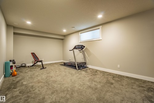 9815 225 Street, Edmonton, AB - Indoor Photo Showing Gym Room