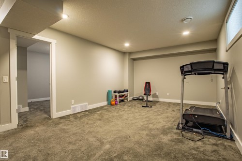 9815 225 Street, Edmonton, AB - Indoor Photo Showing Gym Room