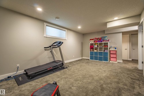 9815 225 Street, Edmonton, AB - Indoor Photo Showing Gym Room