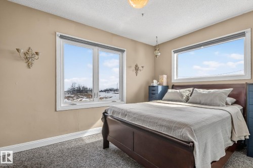 This room features beige walls, white trim, and gray carpet - 160068 Twp 531, Rural Lamont County, AB - Indoor Photo Showing Bedroom