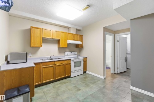 1324 116 Street, Edmonton, AB - Indoor Photo Showing Kitchen With Double Sink