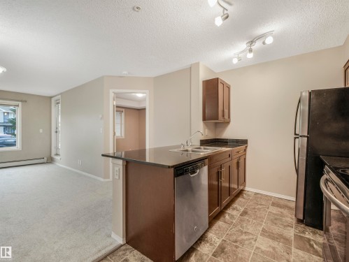 116 530 Watt Boulevard, Edmonton, AB - Indoor Photo Showing Kitchen With Stainless Steel Kitchen With Double Sink