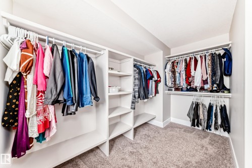 Walk-in closet featuring carpeted flooring, built-in shelving, and hanging rods - 4134 Charles Link, Edmonton, AB - Indoor With Storage
