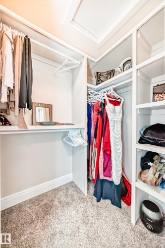 The property features a walk-in closet with carpeted flooring, built-in shelving, and hanging rods - 4134 Charles Link, Edmonton, AB - Indoor With Storage