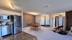 The open-concept living area features a kitchen with stainless steel appliances and white cabinetry, a dining area with a wooden table, and a carpeted space - 