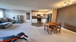 Open concept living area with light-colored carpet, a dining space, and a kitchen featuring white cabinetry, stainless steel appliances, and dark flooring - 