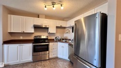 Kitchen featuring white cabinetry, dark countertops, stainless steel appliances, and tiled flooring - 