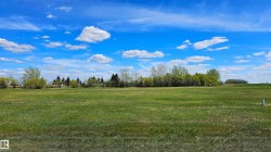 5115 45 Street Viking, AB T0B 4N0