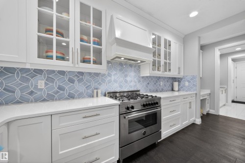 9037 24 Avenue, Edmonton, AB - Indoor Photo Showing Kitchen With Upgraded Kitchen
