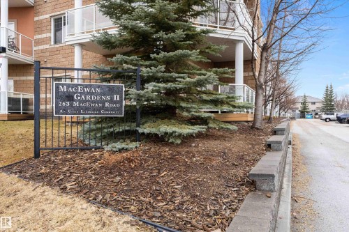 213 263 Macewan Road, Edmonton, AB - Outdoor
