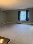 Spacious room featuring carpeting, neutral-toned walls, and a window providing natural light - 