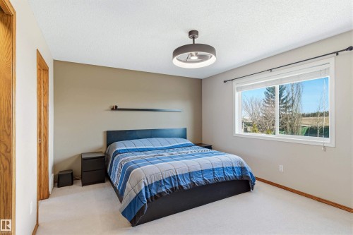 This room features light-colored carpet flooring, a window offering views of the outdoors, and a contemporary ceiling light fixture - 442 Hunters Green, Edmonton, AB - Indoor Photo Showing Bedroom