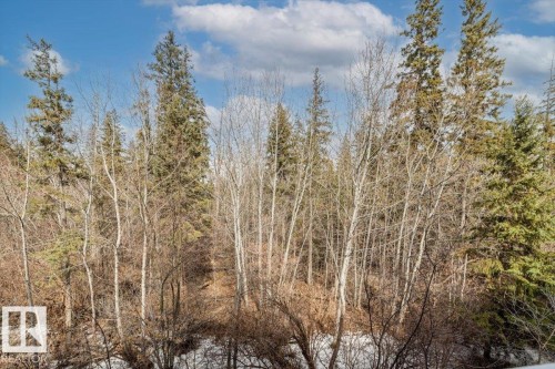The property offers a scenic view of mature trees, including evergreens and deciduous trees, with a partially snow-covered ground visible - 332 612 111 Street, Edmonton, AB - Outdoor With View