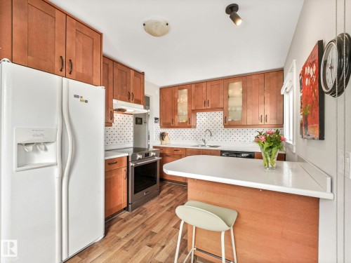 9615 159 Street, Edmonton, AB - Indoor Photo Showing Kitchen