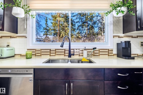 10 Glenhaven Crescent, St. Albert, AB - Indoor Photo Showing Kitchen With Double Sink