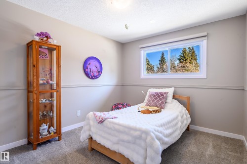 10 Glenhaven Crescent, St. Albert, AB - Indoor Photo Showing Bedroom