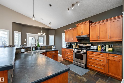 134 Fraser Way, Edmonton, AB - Indoor Photo Showing Kitchen With Double Sink